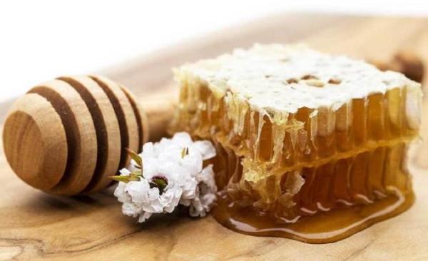آیا فرق عسل مانوکا با بقیه عسل ها را می دانید؟