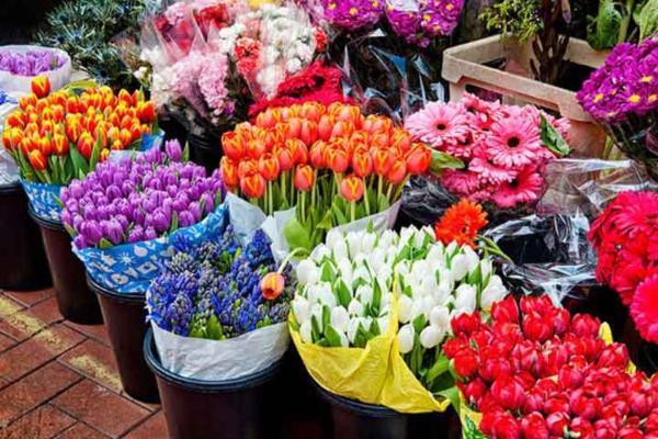افزایش 400 درصدی قیمت گل در آستانه روز مادر
