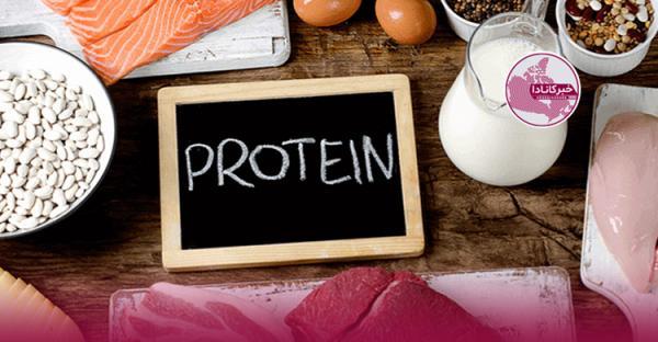 پروتئین هایی که اشتها را کاهش می دهند